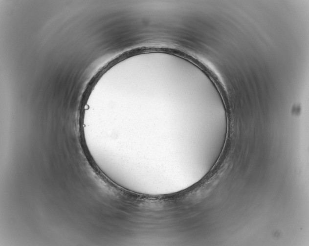 X0000090450935200708102046