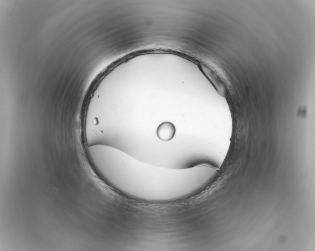 X0000090450936200708102046