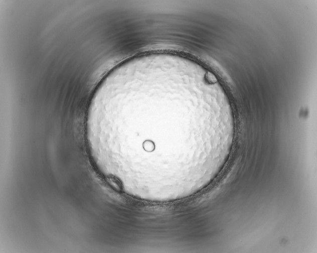 X0000090450937200708102046