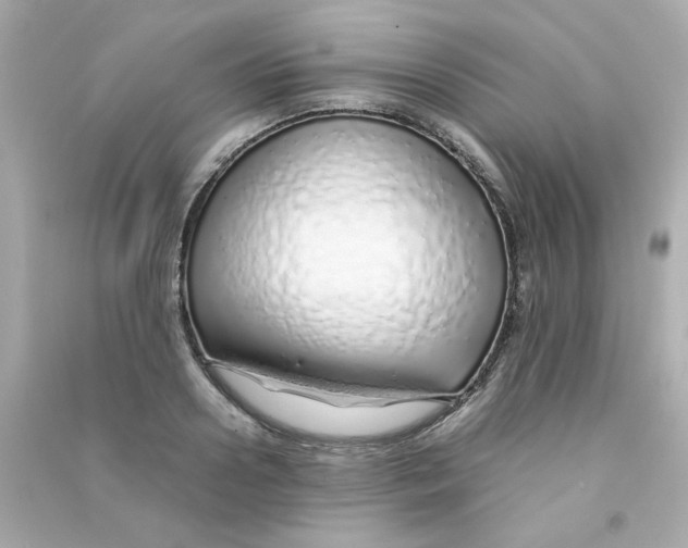 X0000090450938200708102046