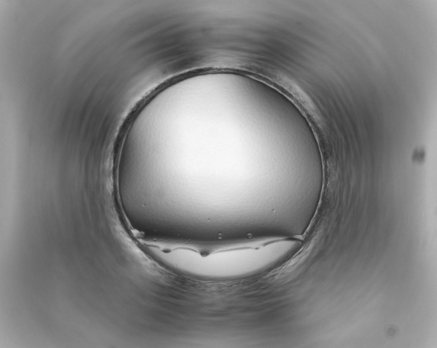 X0000090450939200708102046