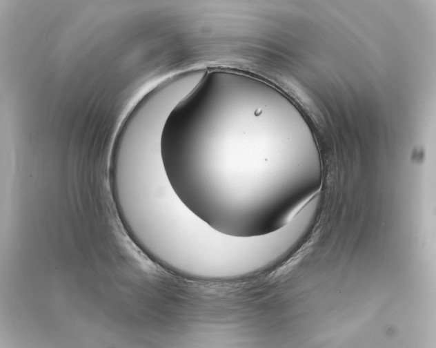 X0000090450940200708102046