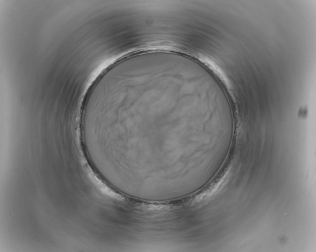 X0000090450941200708102046