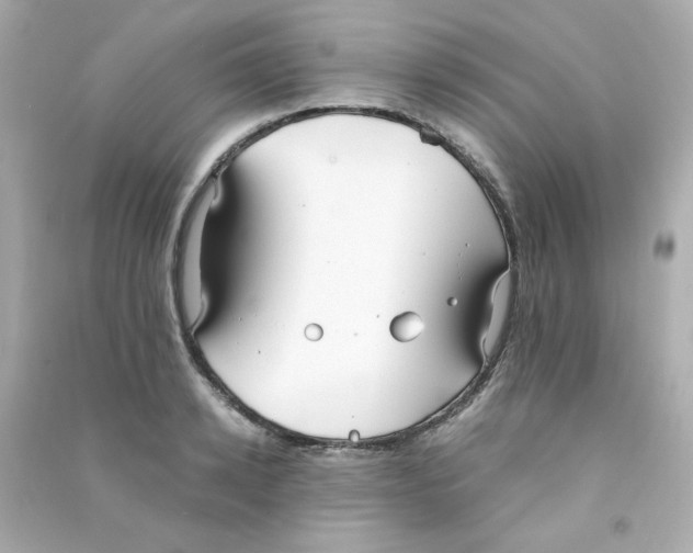 X0000090450942200708102046