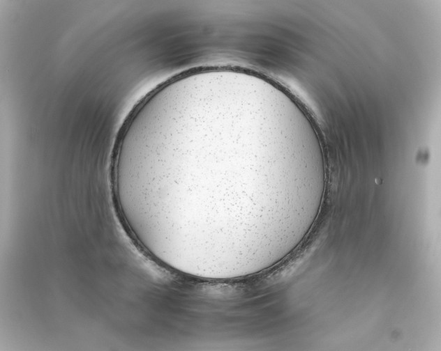 X0000090450943200708102046