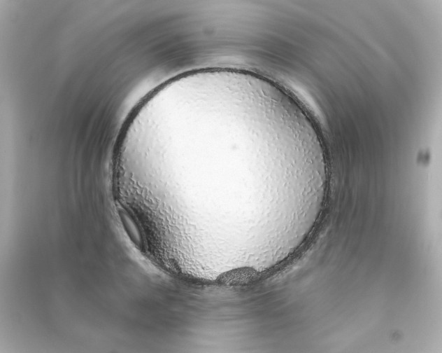 X0000090450944200708102046