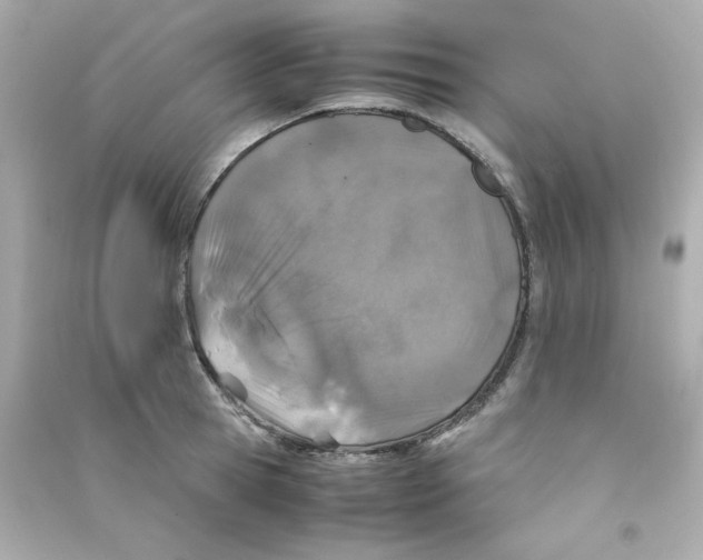 X0000090450945200708102046