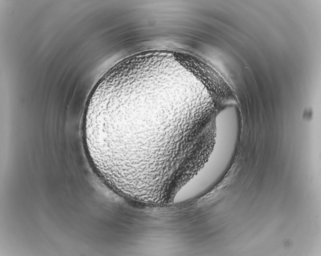 X0000090450946200708102046