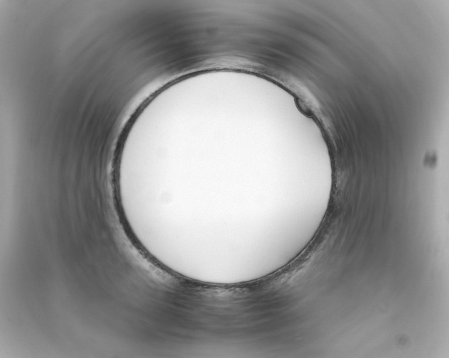 X0000090450947200708102046