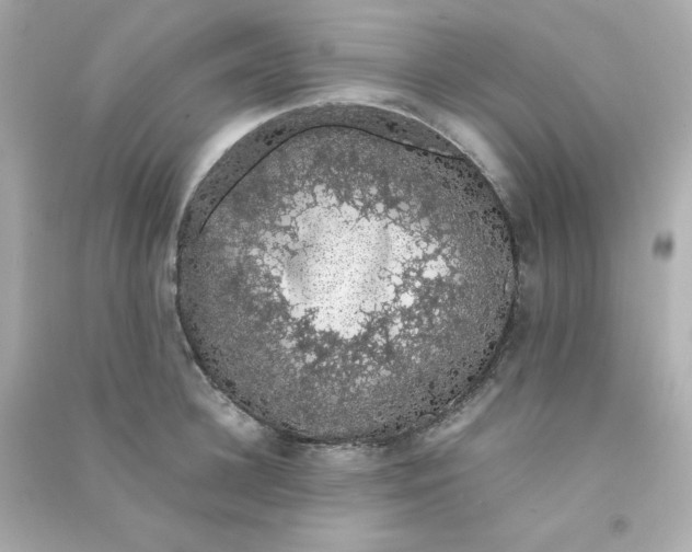 X0000090450948200708102046