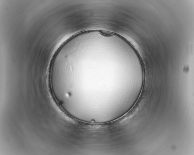 X0000090450949200708102046