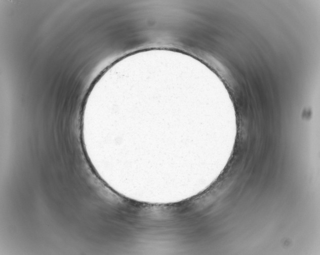 X0000090450950200708102046