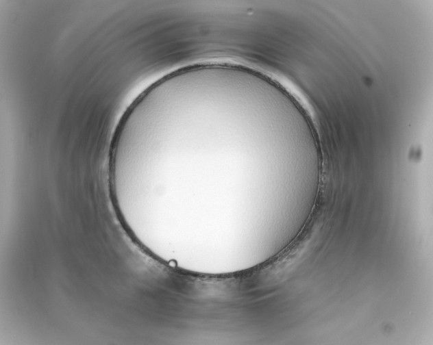 X0000090450951200708102046