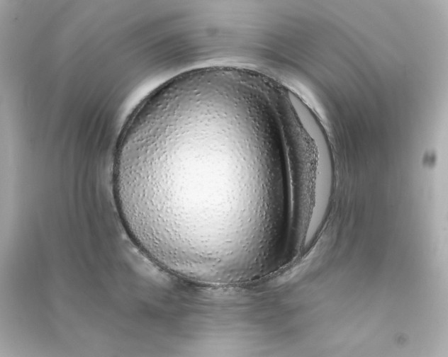 X0000090450952200708102046