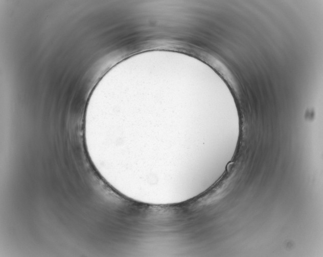 X0000090450954200708102046