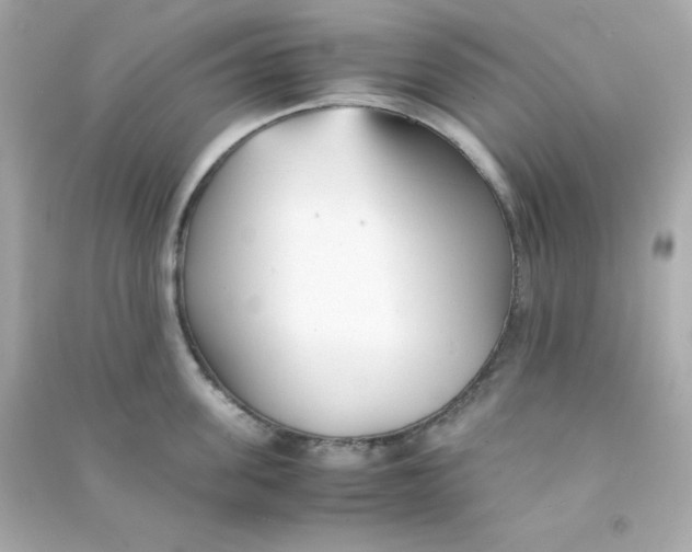 X0000090450955200708102046