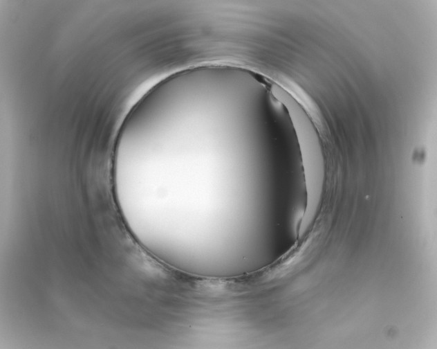 X0000090450956200708102046