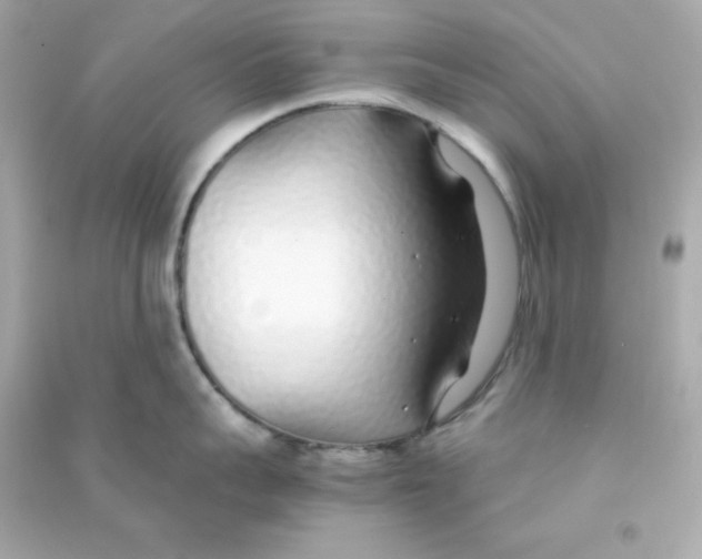 X0000090450959200708102046