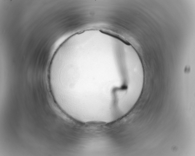 X0000090450960200708102046