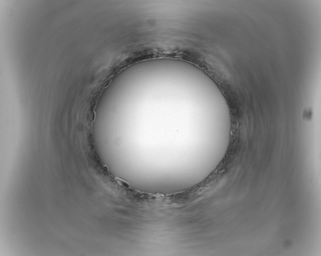 X0000090450961200708102046