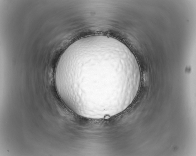 X0000090450963200708102046