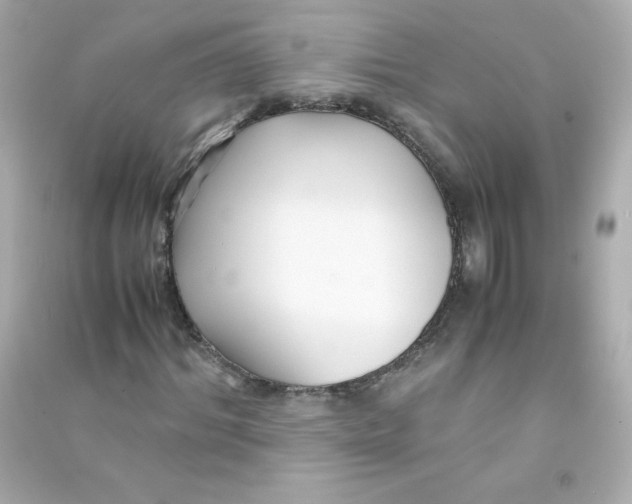 X0000090450964200708102046