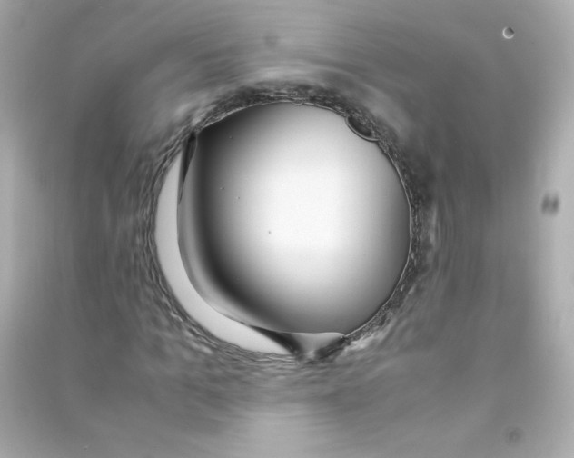 X0000090450965200708102046