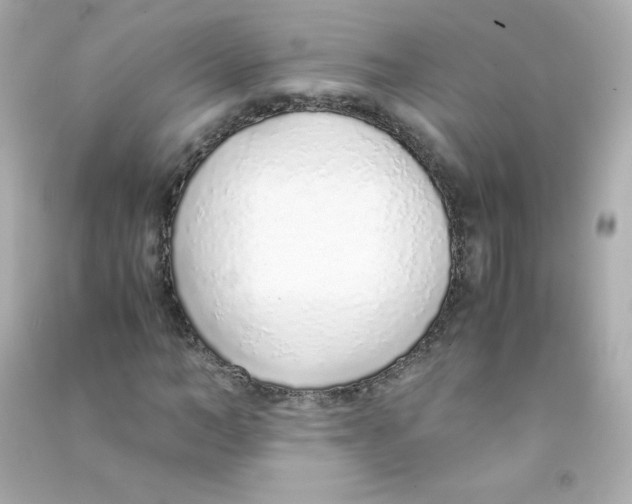 X0000090450966200708102046