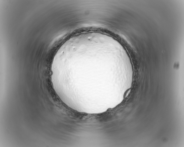 X0000090450967200708102045