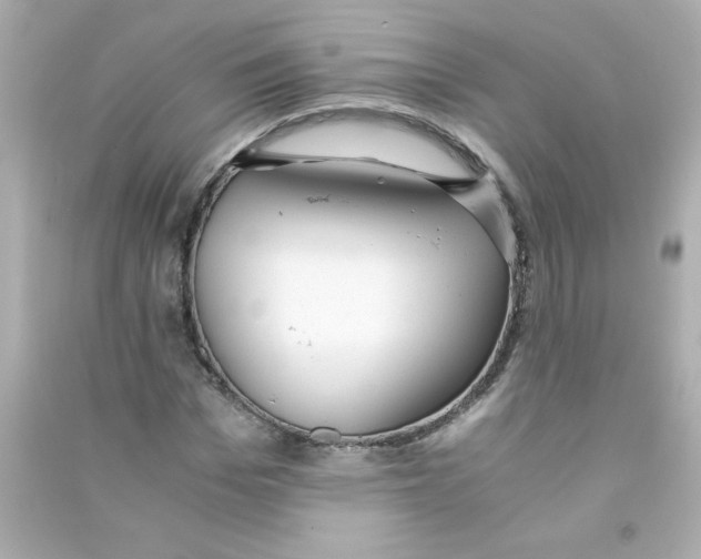 X0000090450969200708102045