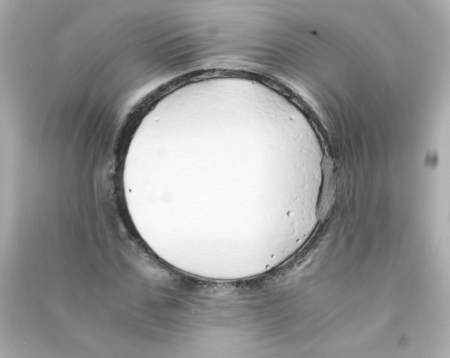 X0000090450971200708102045