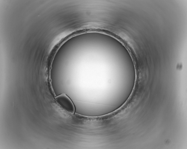 X0000090450973200708102045