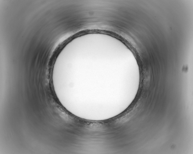 X0000090450974200708102045