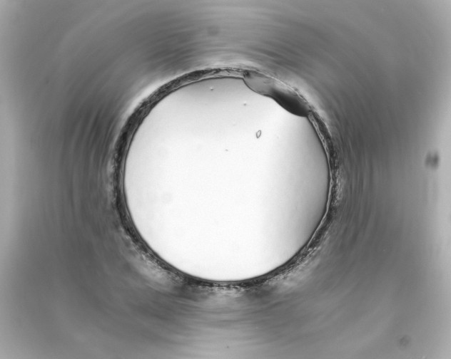 X0000090450975200708102045