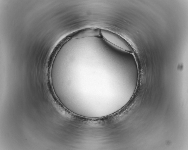 X0000090450976200708102045