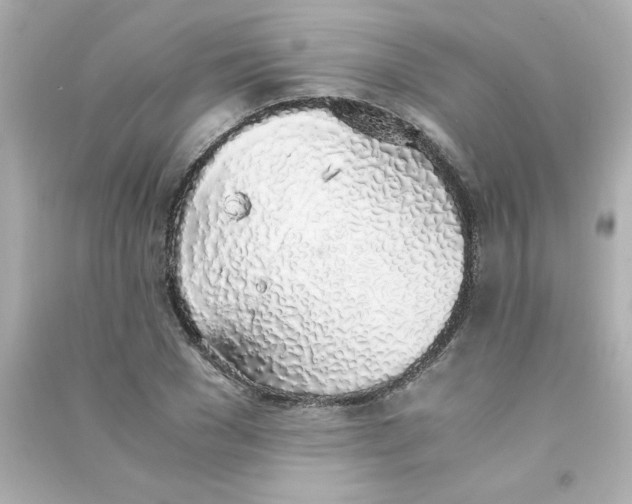 X0000090450977200708102045