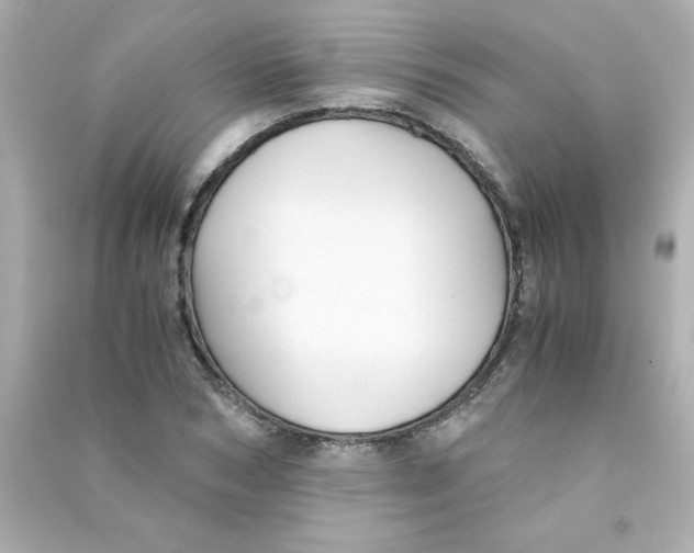 X0000090450978200708102045