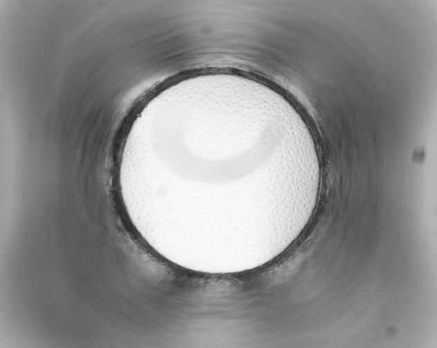 X0000090450979200708102045