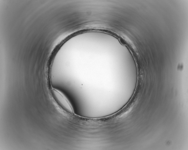 X0000090450981200708102045