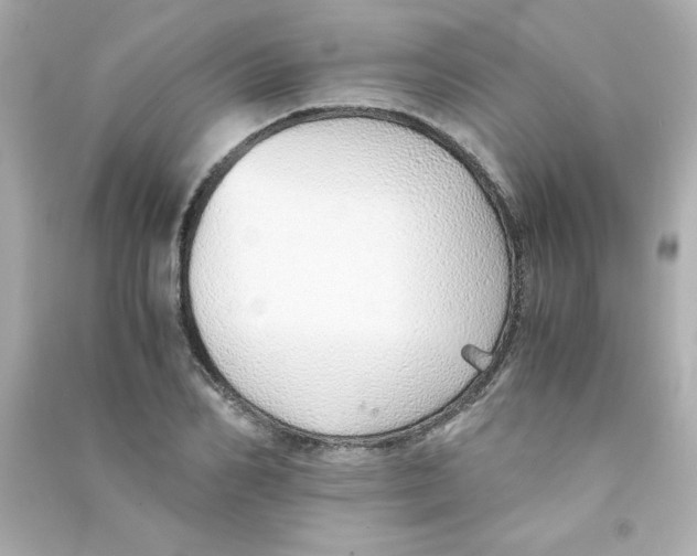 X0000090450982200708102045