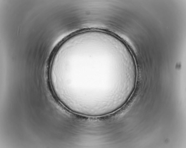 X0000090450983200708102045