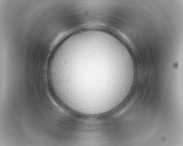 X0000090450986200708102045