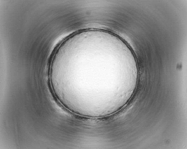 X0000090450987200708102045