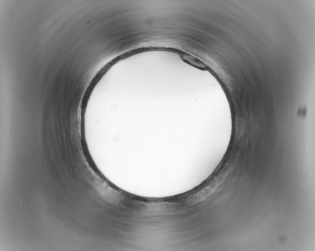 X0000090450988200708102045