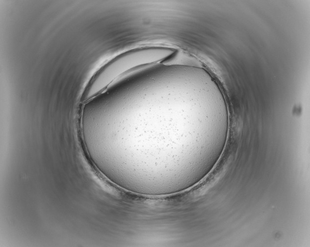 X0000090450989200708102045