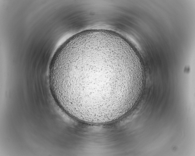 X0000090450990200708102045