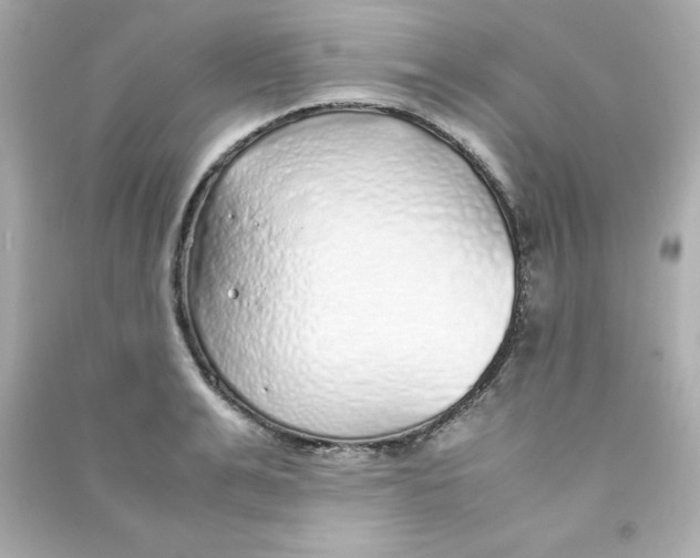 X0000090450991200708102045