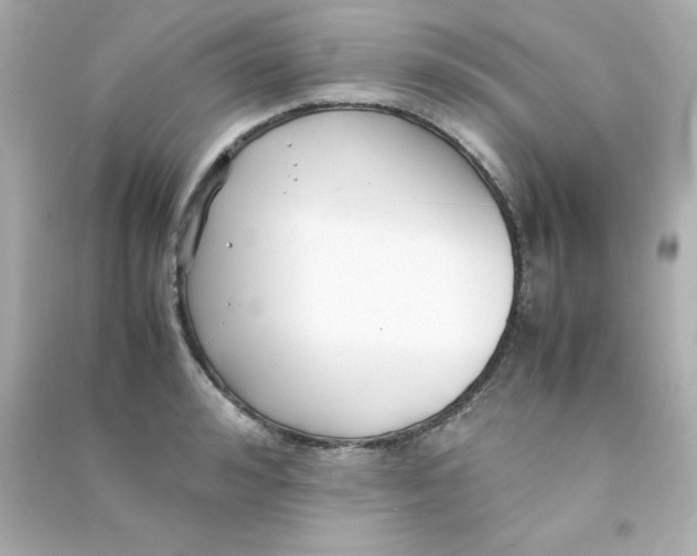 X0000090450992200708102045