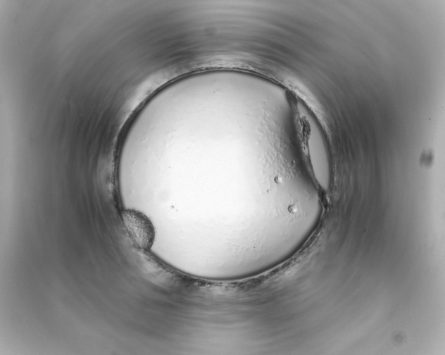 X0000090450994200708102045