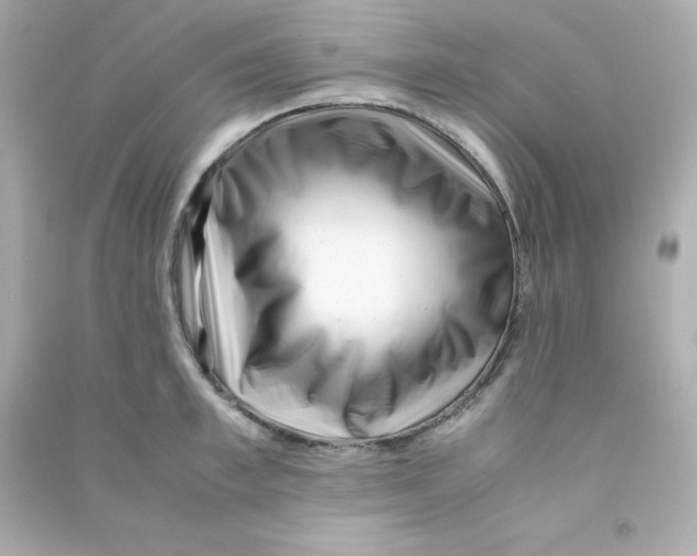 X0000090450997200708102045